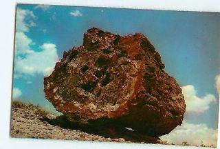 Vintage Postcards Large Petrified Log in Forest National Park Arizona