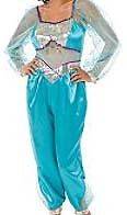 NWT  Aladdin JASMINE Fancy Dress Women COSTUME ADULT S