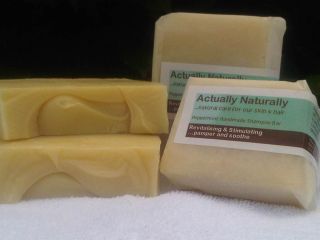 Actually Naturally Natural Handmade Peppermint Shampoo Solid Bar Soap 