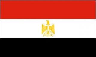 Egypt Flag Egyptian Banner Country Pennant 3x5 Indoor Outdoor New