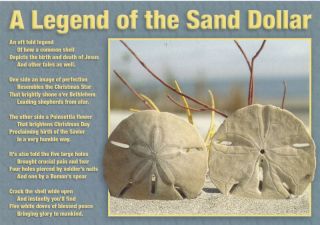 Post Card Legend of the Sand Dollar T 931