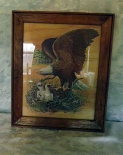 The American Bald Eagle Print by Robert Nipp Signed Rustic Wood Frame 