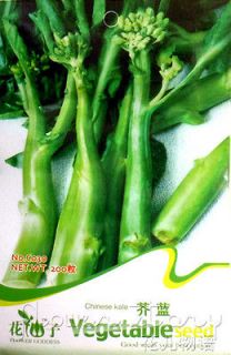 Kale Seed ★ 200 Vegetables Seed Fruit Full Pollution free Heirloom