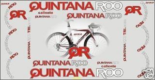 Quintana Roo Caliente Triathlon Bike 2009 Bike Stickers