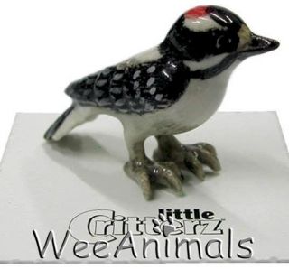 Little Critterz Drummer Downy Woodpecker Miniature Figurine Wee 