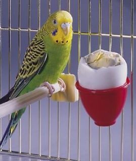 Bird Egg , Treat , Gravel Cup ( Asst. Colors ) for cage with small 