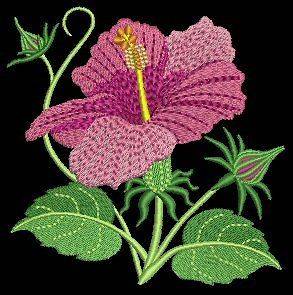   Flowers Machine EMbroidery Design CD 5x5 for Brother, Janome etc
