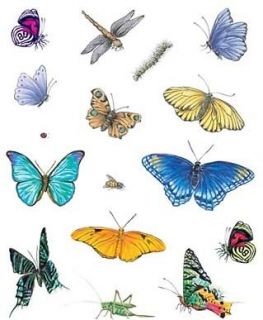 Tatouage Butterflies & Garden Insects  Low Shipping