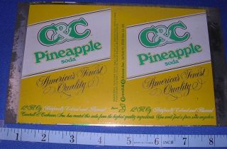Pineapple Sode Cantrell & Cochrane Pop Beverage Flat steel tin 
