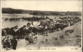Caid Ben Ganah Africa Camels c1910 Postcard