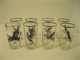 Eight 12 Ounce Clear Glasses With Richard E. Bishop Gamebird Designs