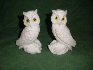 LOT OF 2   VINTAGE YELLOW EYED CARVED WHITE OWL FIGURINES~ ~