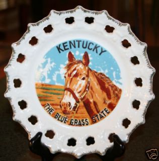 Nice KENTUCKY The Blue Grass State Collectors Plate