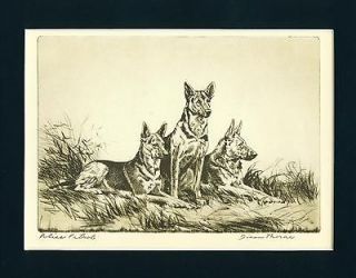 Dog Print 1935 German Shepherd Police Patrol Dogs by Diana Thorne