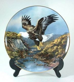 Franklin Mint Under His Wings eagle plate   by Ted Blaylock   HJ38