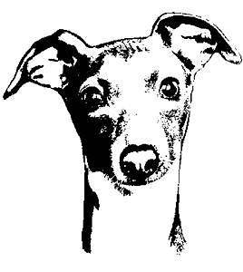 Italian greyhound rubber stamp UM 2x2.25