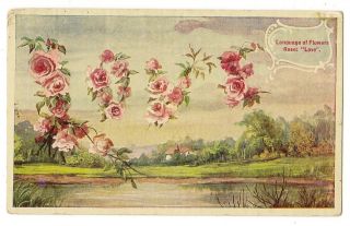 ANTIQUE LARGE LETTER GREETINGS POSTCARD LOVE PINK ROSES LANGUAGE OF 