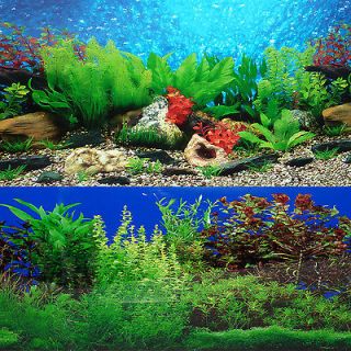   48 Fish Tank Background 2 Sided River Bed & Lake Background Aquarium