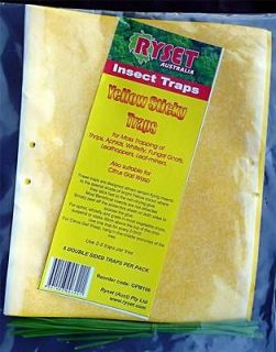   INSECT TRAP THRIP APHID WHITEFLY GALL WASP LEAFHOPPER LEAF MINER GNAT