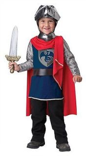 Gallant Knight Costume Child Toddler *New*