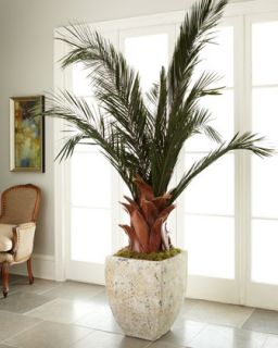 Oversized Palm in Planter   The Horchow Collection