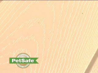 PetSafe Aluminum Pet Door Installation   image 9 from the video