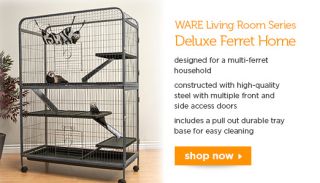 Ferret Cages   Ferret Supplies and Ferret Food Available Online from 