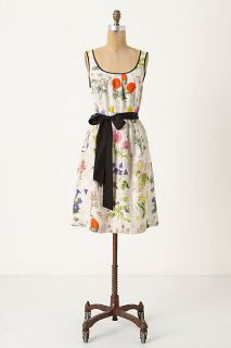 Tuileries Dress   Anthropologie