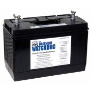 Basement Watchdog® Deep Cycle Battery (30HDC140S)   