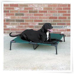 Dog Cots  Outdoor Dog Beds  