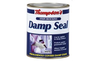 Thompsons Damp Seal   250ml from Homebase.co.uk 