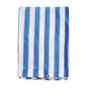 Ace 20x20 Blue and White Striped Shade Cloth (SC 20150)   Ace 