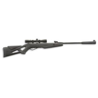 Gamo Silent Cat .22 Cal. Air Rifle With Scope   745043, Rifles at 