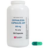 Cephalexin Antibiotic For Dogs And Cats   1800PetMeds