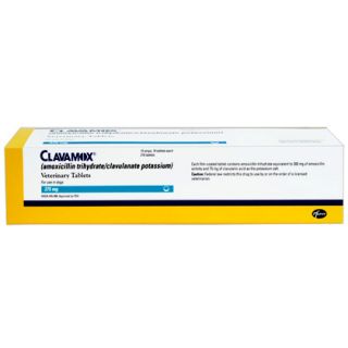 Clavamox  Oral Antibiotic For Dogs & Cats   1800PetMeds