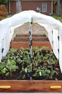 Build Your Own Portable Greenhouse and Simple Cold Frame