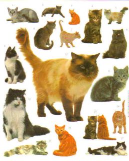 Collectibles  Animals  Cats  Decals & Stickers