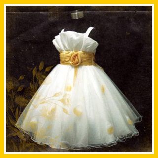 Gold Christening Flower Girl Dress Age 2 3 4 5 6 7 8 ​9Y