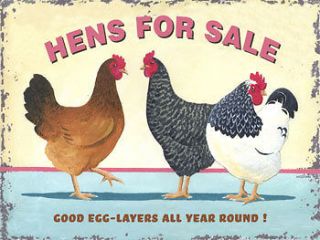 Hens For Sale Metal Sign, Good Egg Layers Year Round