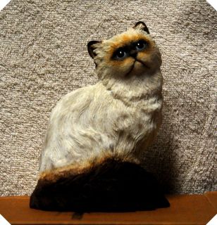 HIMALAYAN CAT STATUE Retired by Country Artist NIB