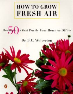 How to Grow Fresh Air 50 House Plants that Purify Your Home or Office 