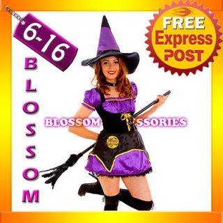   Midnight Wicked Witch Fancy Dress Scary Halloween Costume Outfit Hat
