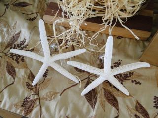   Finger Starfish Drapery Hold / Tie Backs Nautical​/Beach Decor (2