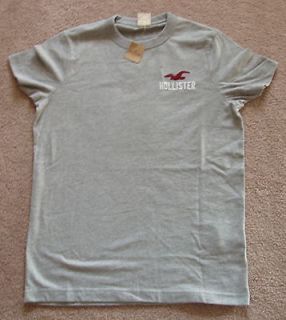 HOLLISTER by ABERCROMBIE & FITCH T SHIRT MUSCLE FIT LARGE MENS 