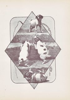JACK RUSSELL TERRIER PUPPIES PARSONS RUSSELL ANTIQUE PRINT 1889