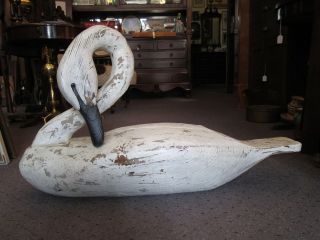 signed michael veasey hand carved life size swan decoy returns