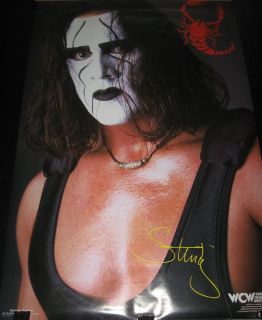 1998 Sting WCW wrestling Scorpion vintage poster PBX1839