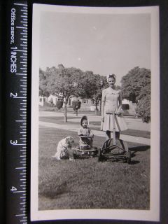 Photo 00813 lady w lawnmower, kid n stroller walker, cocker 