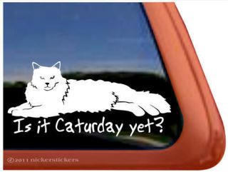IS IT CATURDAY YET? ~ Ragdoll Cat Kitty Kitten Window Decal Sticker