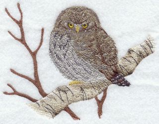 Northern Pygmy Owl SET OF 2 BATH HAND TOWELS EMBROIDERED RARE FIND